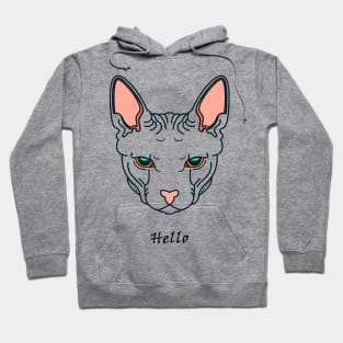 My cat Hello Hoodie